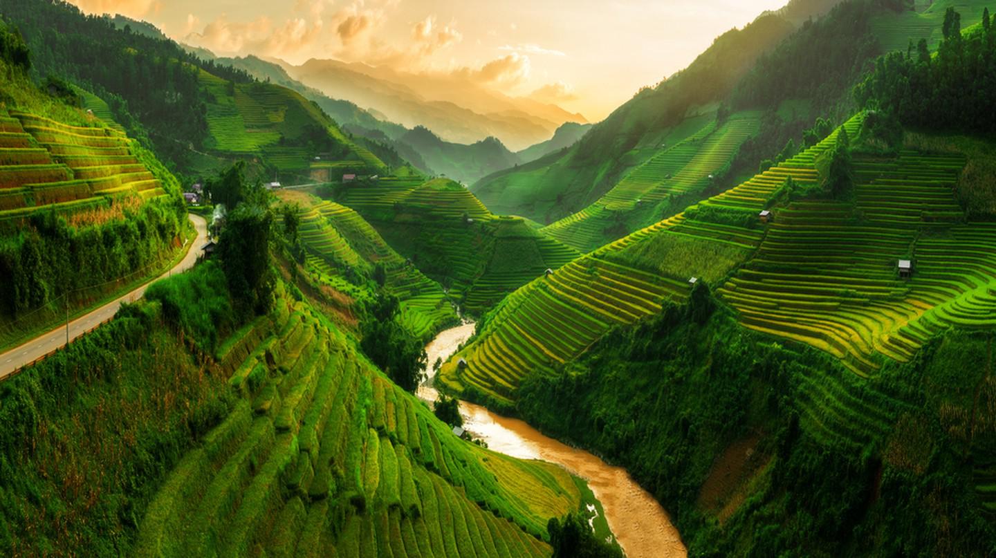 The Essential Travel Guide To Vietnam (Infographic)