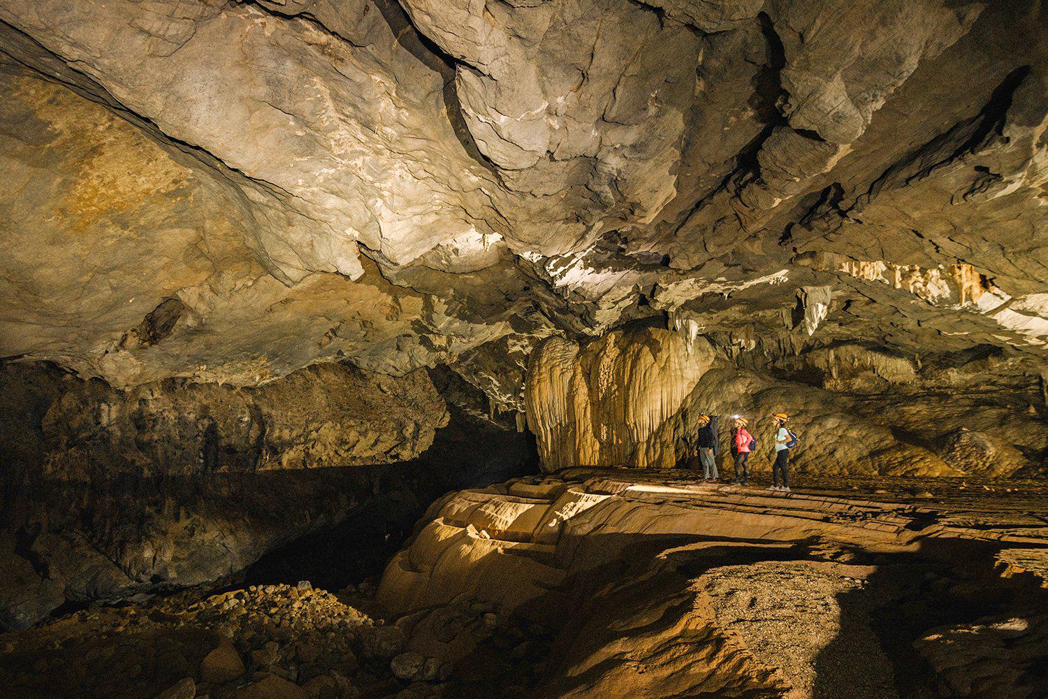 Tour Phong Nha National Park 1 Day